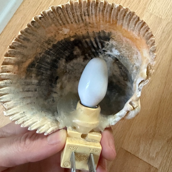 Seashell night light - Picture 3 of 3